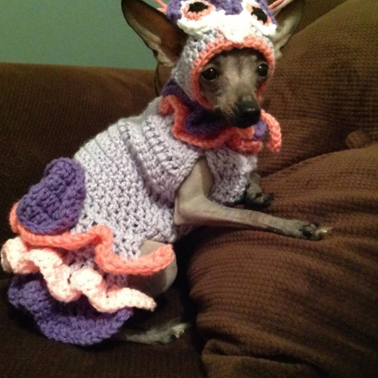 MullerForster's profile picture. 