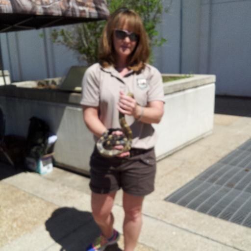 wardhill1302's profile picture. 