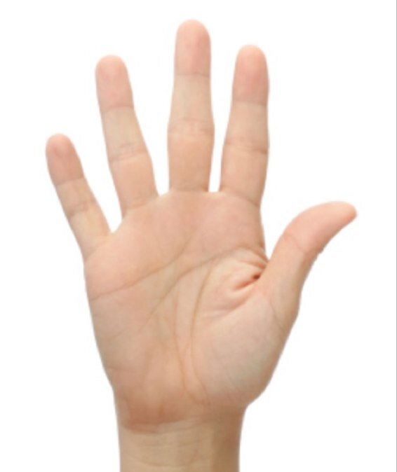 on_learning's profile picture. 