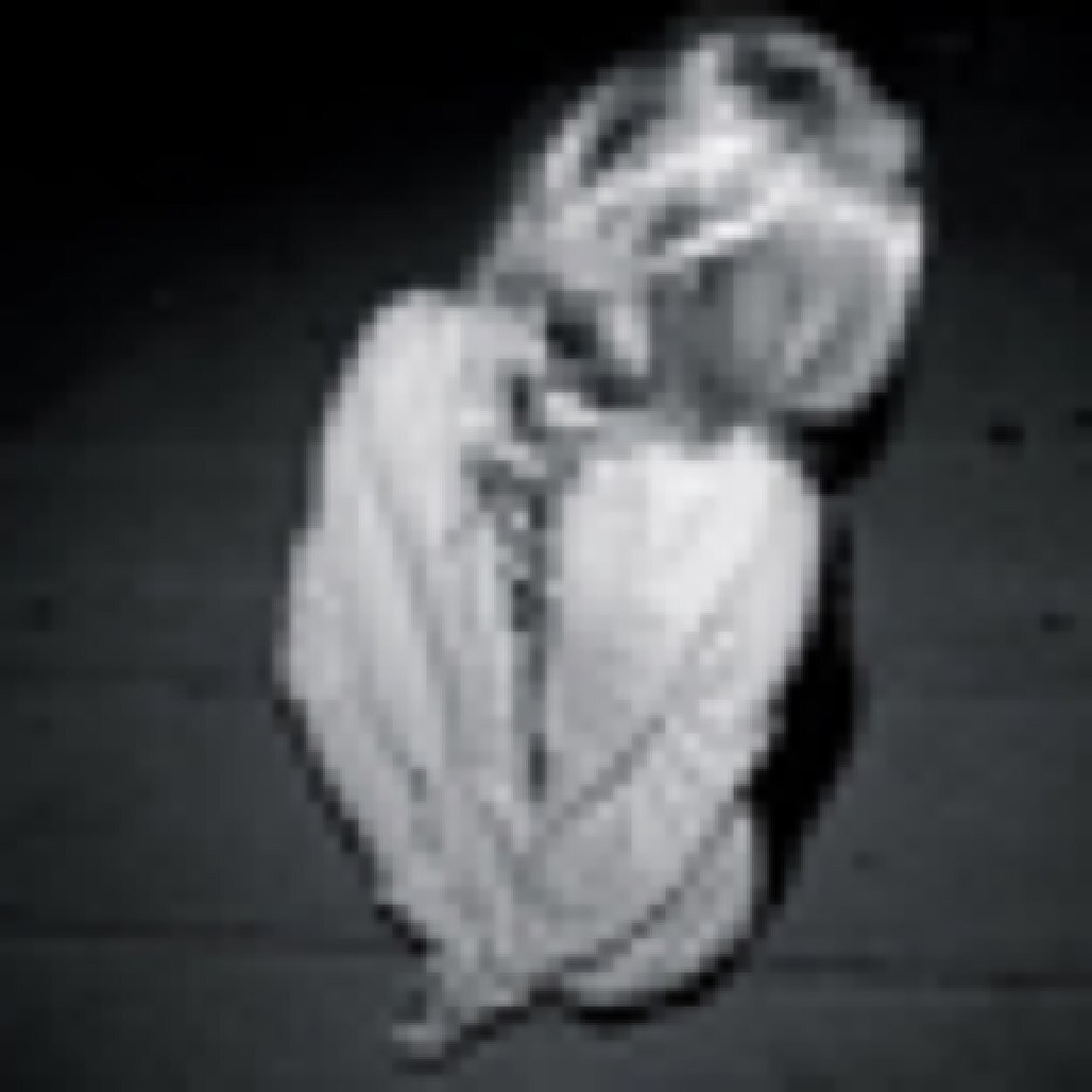 ShebaStick's profile picture. I am nothing.