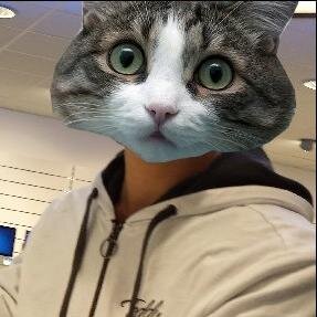 Miaou.