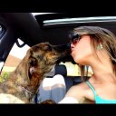 Brittany Springer - @springerlyfe - Twitter