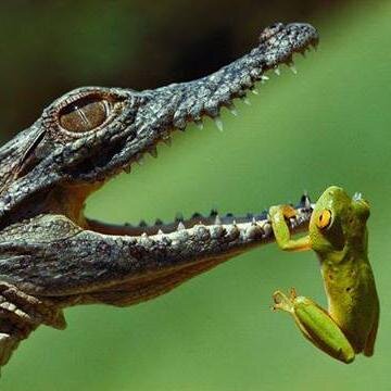 ashu7tosh89's profile picture. 