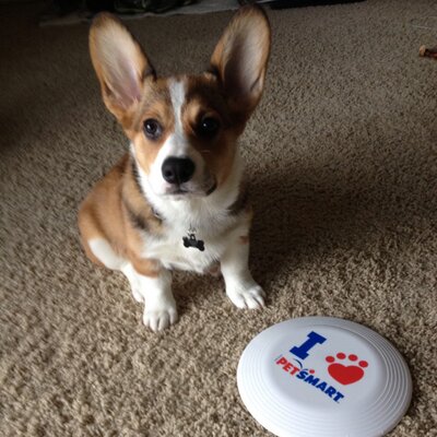 DaveMRhoades's profile image