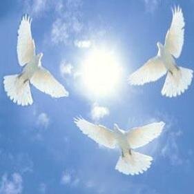 Wembley Spiritualist Church welcomes ALL seeking the evidence of life after life.  Come and be uplifted in our services, Wednesday/Sunday evenings: 7.30/6.30pm.