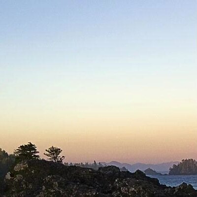 Thomas_Gts's profile picture. We at Solent ...