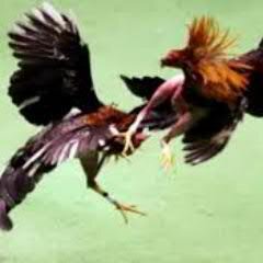 It is better to fail aiming high than to succeed aiming low