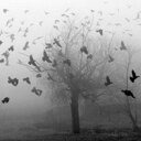 Elisa Juarez - @_elisajuarez - Twitter