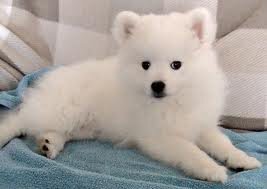 AntoniaM49's profile picture. 