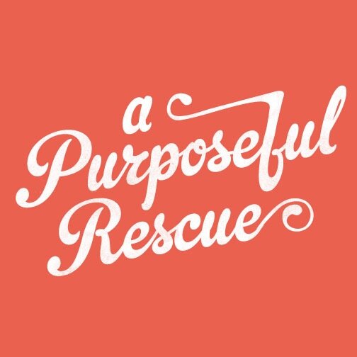 we are a 501c3 dog rescue with a strong focus on outreach and education