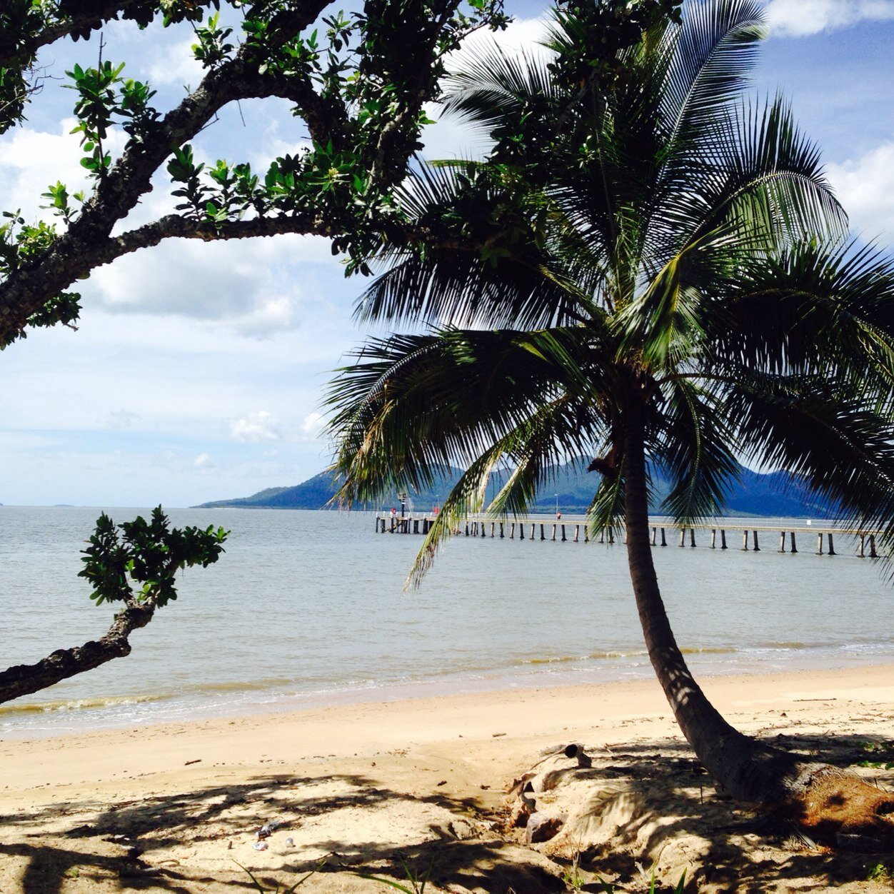 meegan_leigh's profile picture. 