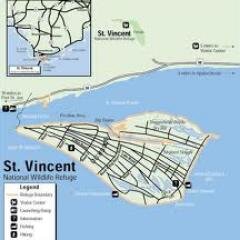 StVincentNWR's profile picture. National Wildlife Refuge and sanctuary to endangered Sea Turtles, Red Wolf and migratory Shorebirds. Bio-diverse, uninhabited. stvincentfriends@gmail.com
