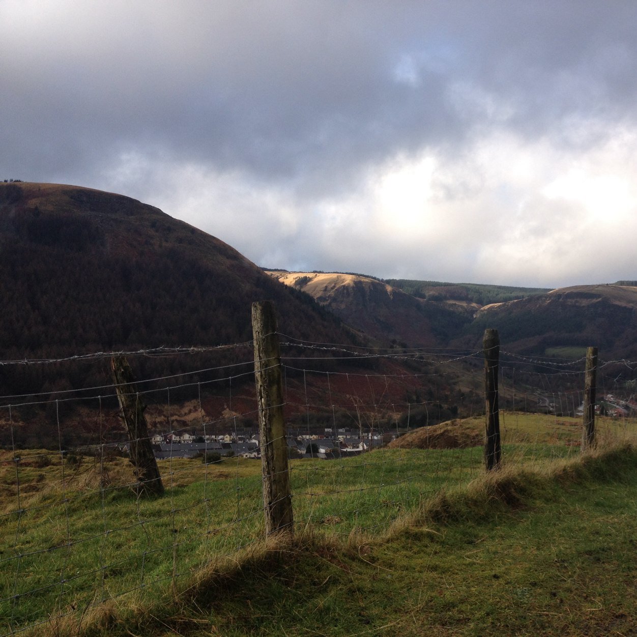 aledgodfrey's profile picture. 