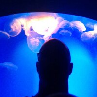 Mr. D. Ward (@mrdwardchem) 's Twitter Profile Photo