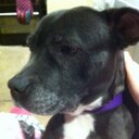 deborah wright - @deborahdavies - Twitter