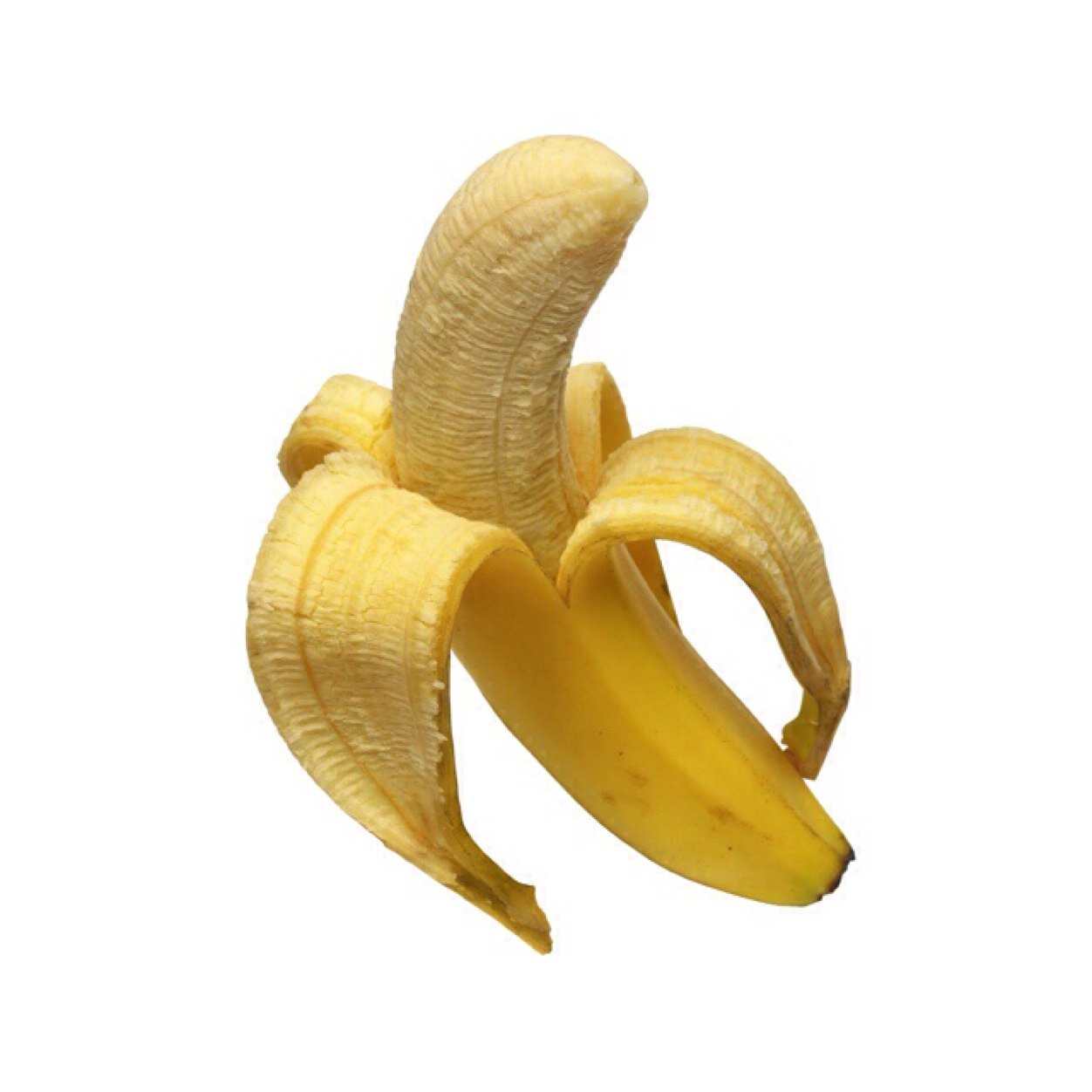 ayylmaobabe's profile picture. follow @irwinsvinyl !!!