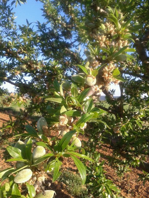 belenivus9180's profile picture. .