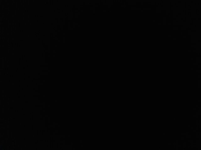 DeniseDesiree_'s profile picture. X Proud Sheerio since 2012 X