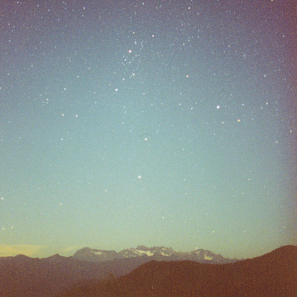 wisetankian's profile picture. honest musings.