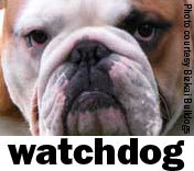 SchusterInst's profile picture. 