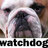 @SchusterInst Twitter icon