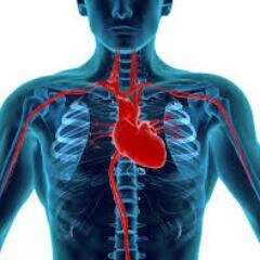 10 years experience as a certified CPR instructor