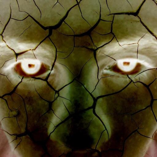 rafaelamanarth's profile picture. 