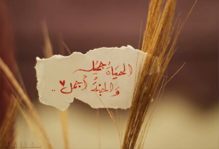‏سبحان الله وبحمده سبحان الله العظيم