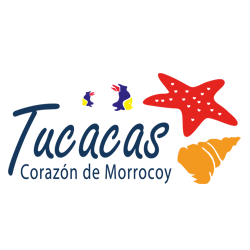 IaturdeMorrocoy's profile picture. 