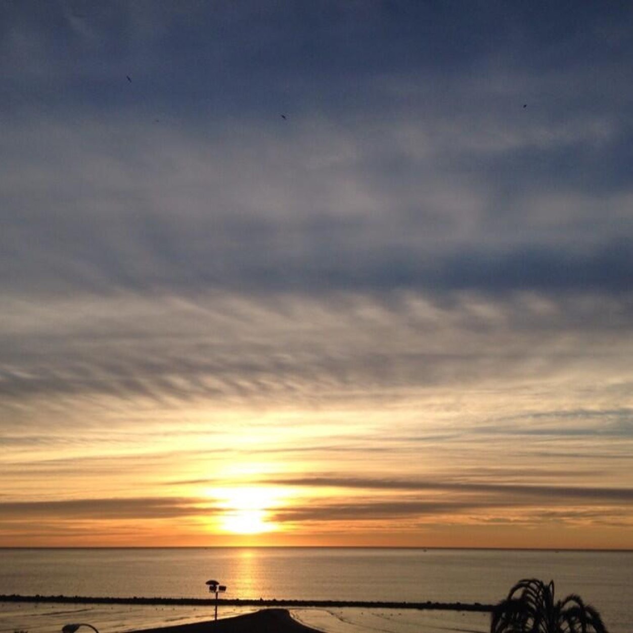 vesuga's profile picture. Madre, aprendiz de la vida, dispuesta a revisar creencias, apasionada de la ecología emocional, disfrutando del misterio, potenciando la creatividad.