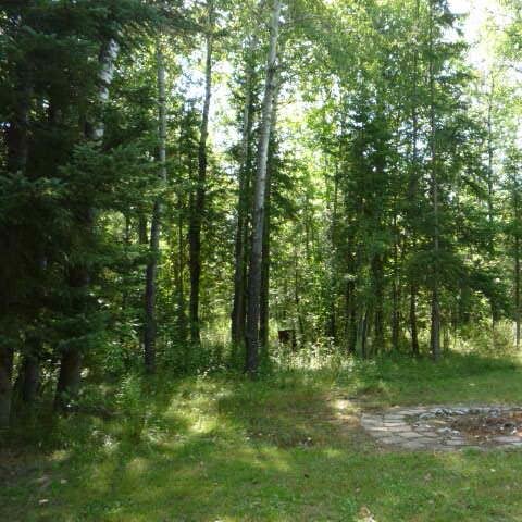 DCDaydreams1's profile picture. 