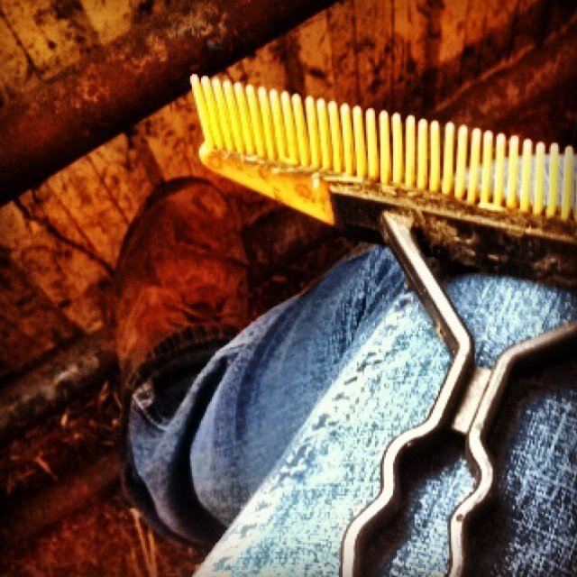 show_hoe's profile picture. Its miss me jeans, its the glue-n-sheen. Its the wash,show and go. Its the heat and no rain and its the joy and the pain, and they call this thing a cattle show