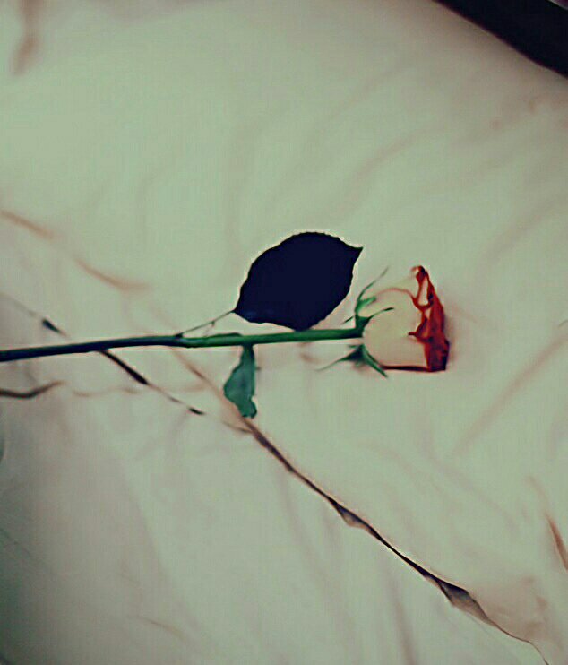 gggoooggg909090's profile picture. 