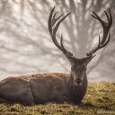 Phil Brunberg - @LaddBrown - Twitter