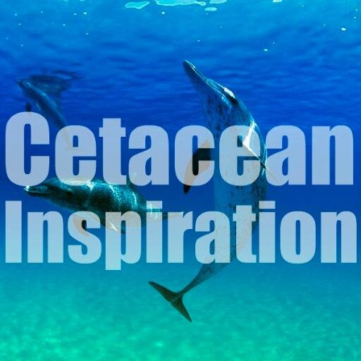 Cetacean Inspiration