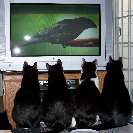 sallyegs's profile picture. Performance Management Consultant