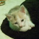 Kathy Robinson - @KatRobinson76 - Twitter