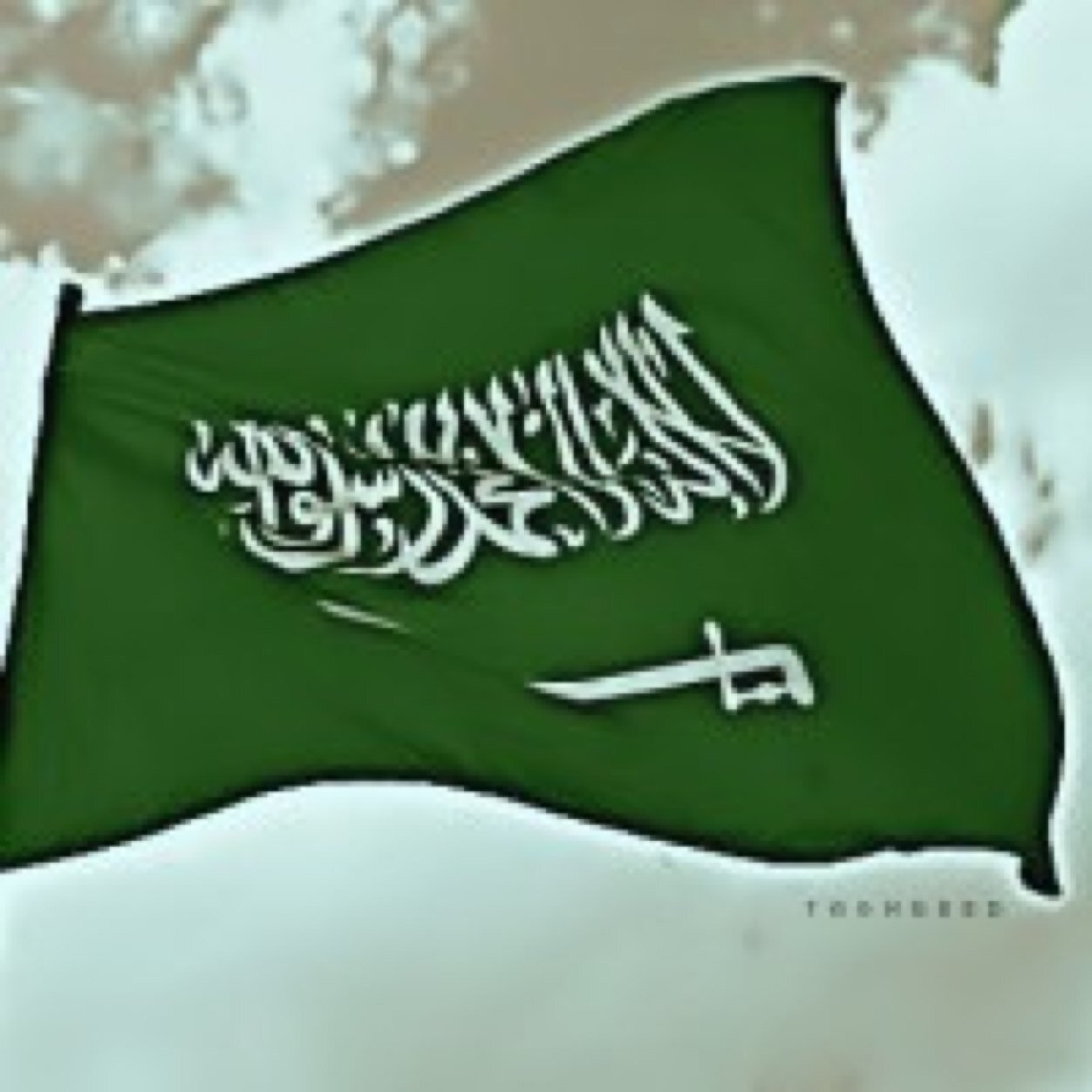 Sayd1122331's profile picture. تابعني ... أتابعك ع طول تحذفني أحذفك