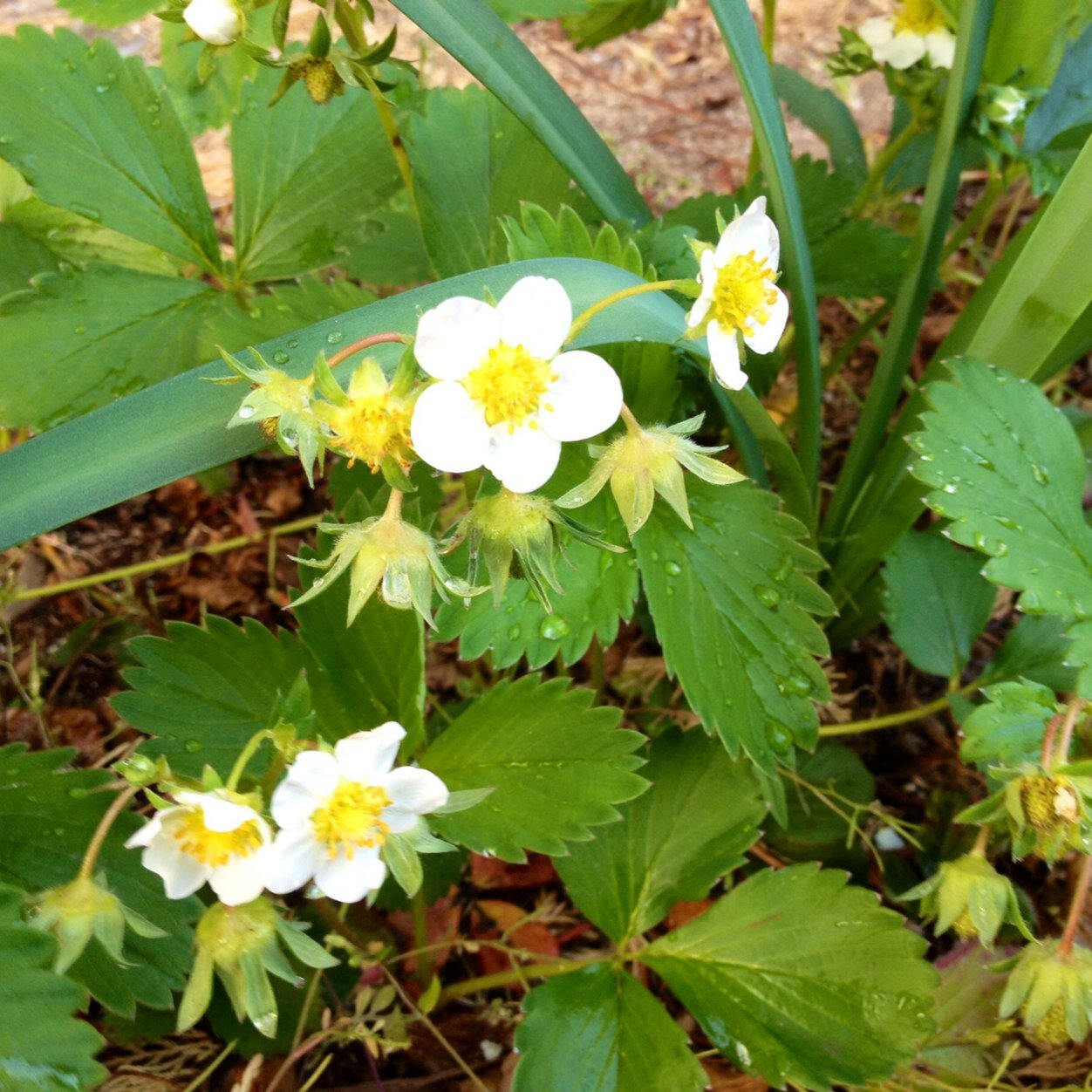 hanseonchoi's profile picture. 논,밭,두렁,도시,건물,사람을 걷다보면 세상이 보일까?