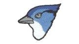 Hampden Township American Legion baseball