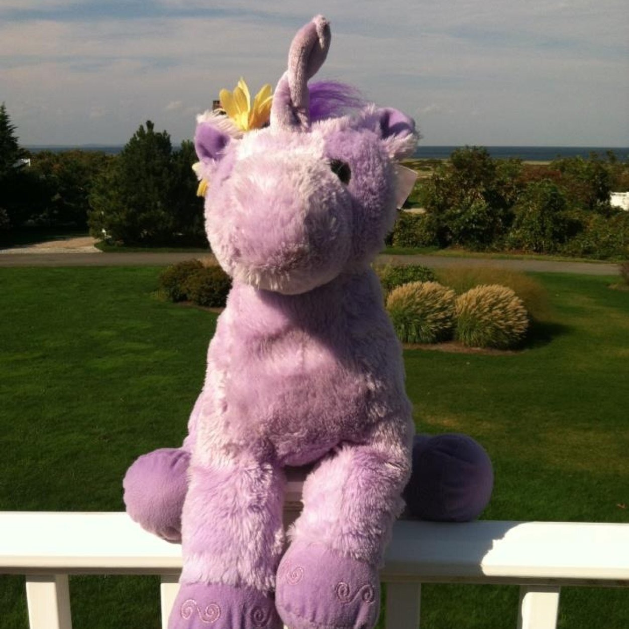 DPhiE_Sunshine's profile picture. A little sunshine, goes a long way. ☀️

@RIC_DPhiE