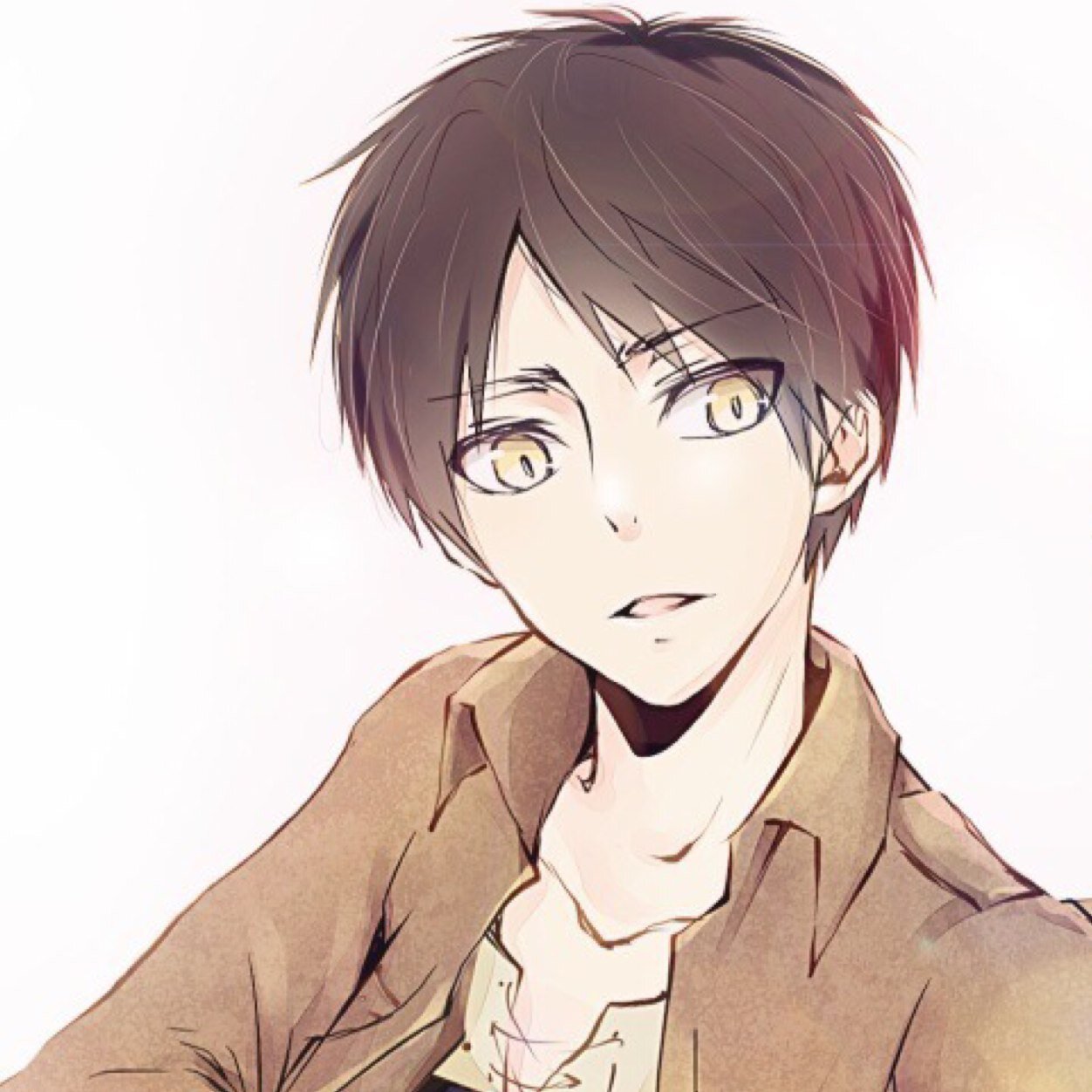 |Eren Jaeger|Titan Shifter|Formerly Affiliated with 104th Trainee Squad|Protecting Mankind Like A Badass|#SnK #SemiCrack|