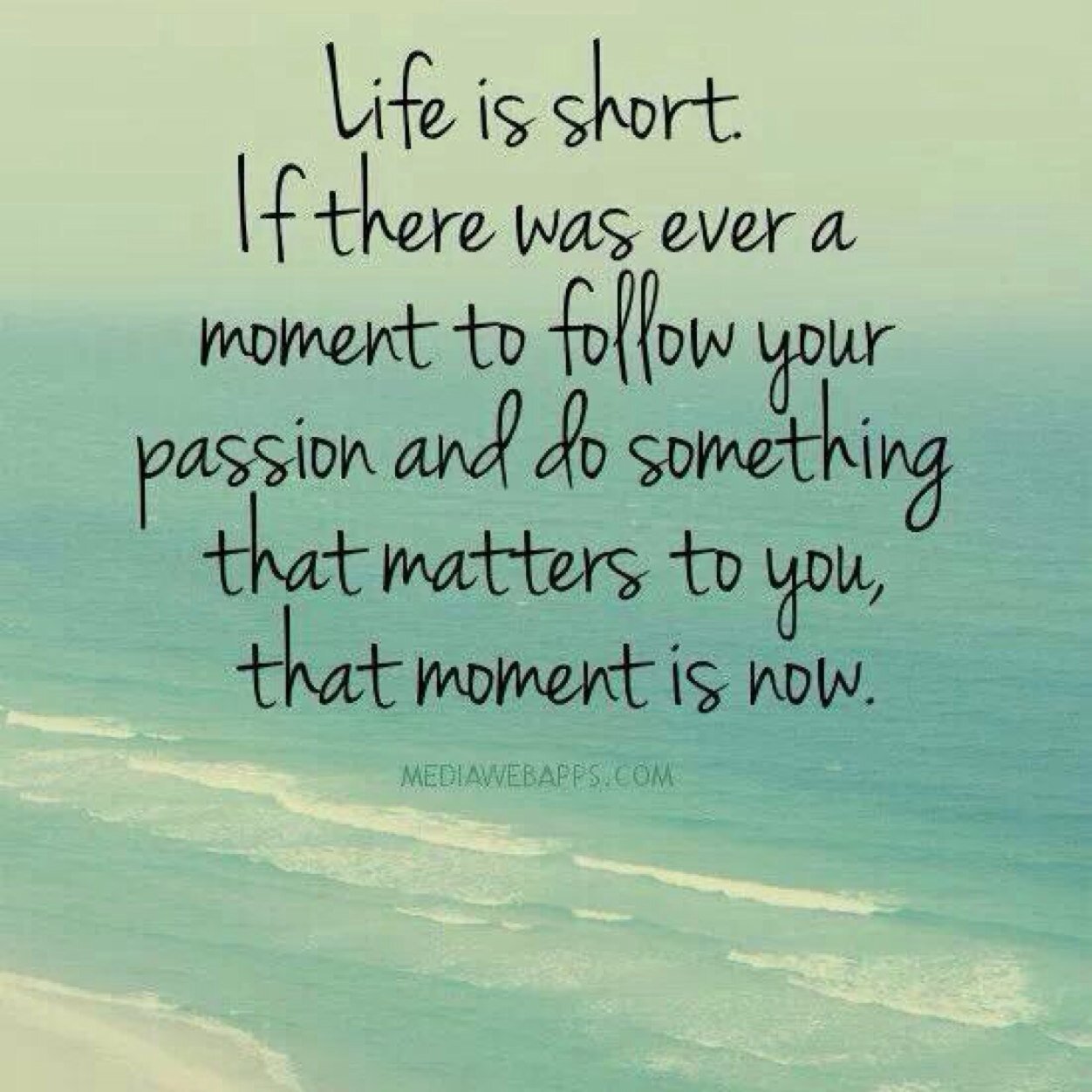 Hamto007's profile picture. YOLO; you only live one!!