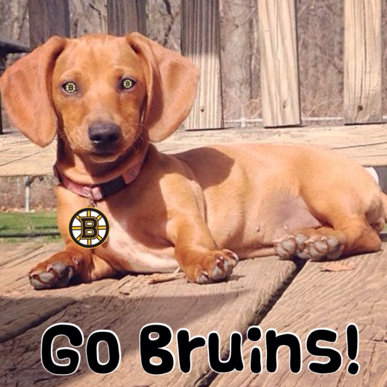 richlitch1961's profile picture. 