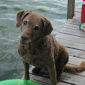 brandirheu's profile picture. 