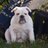 WendyJ1226's profile image