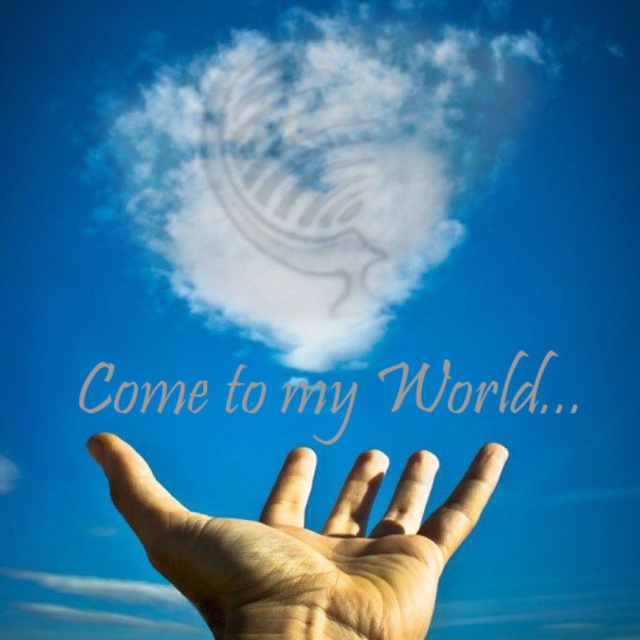 PabloPass5150's profile picture. 