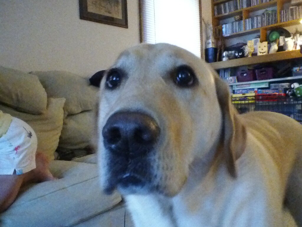 JudyBeetem's profile picture. 