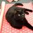 JoanneMundt's profile image