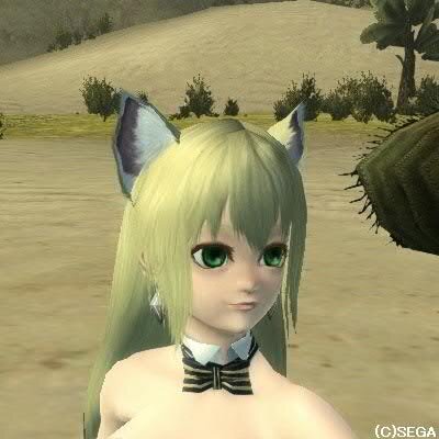 セージさんのプロフィール画像